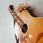Beachbude ティメンドルファー・シュトラント